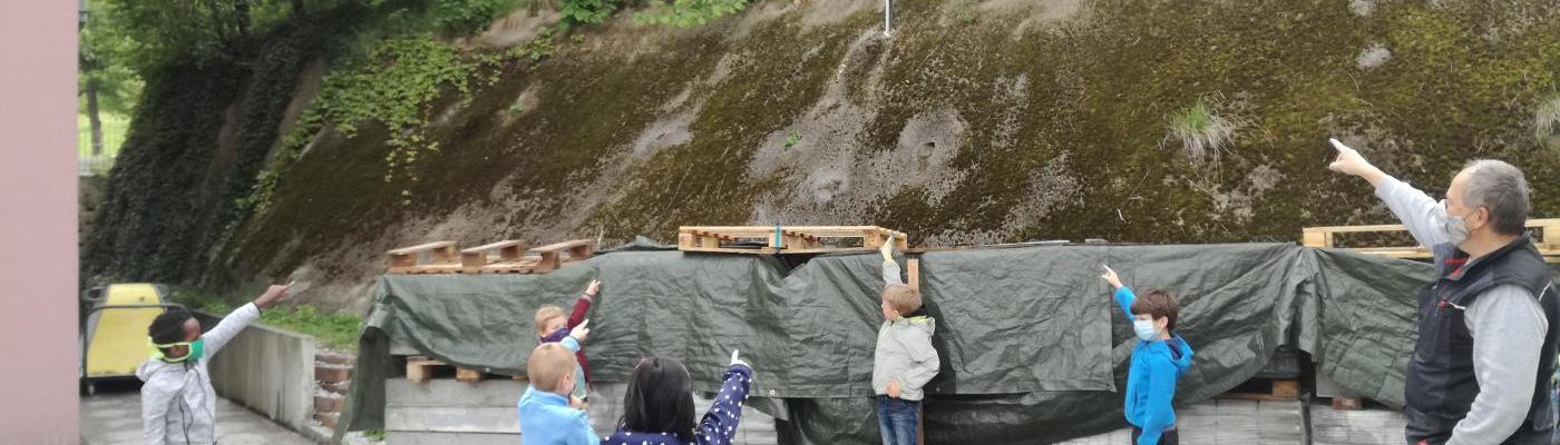 Perfekter Standort für das Bienenhotel