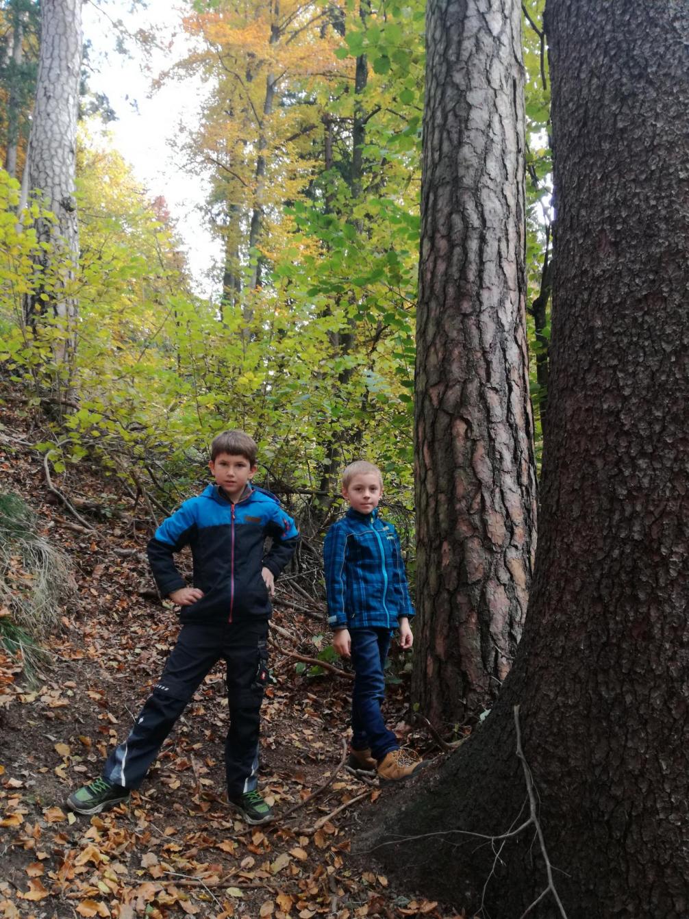 Die Walddetektive auf der Suche nach etwas, das piekt.