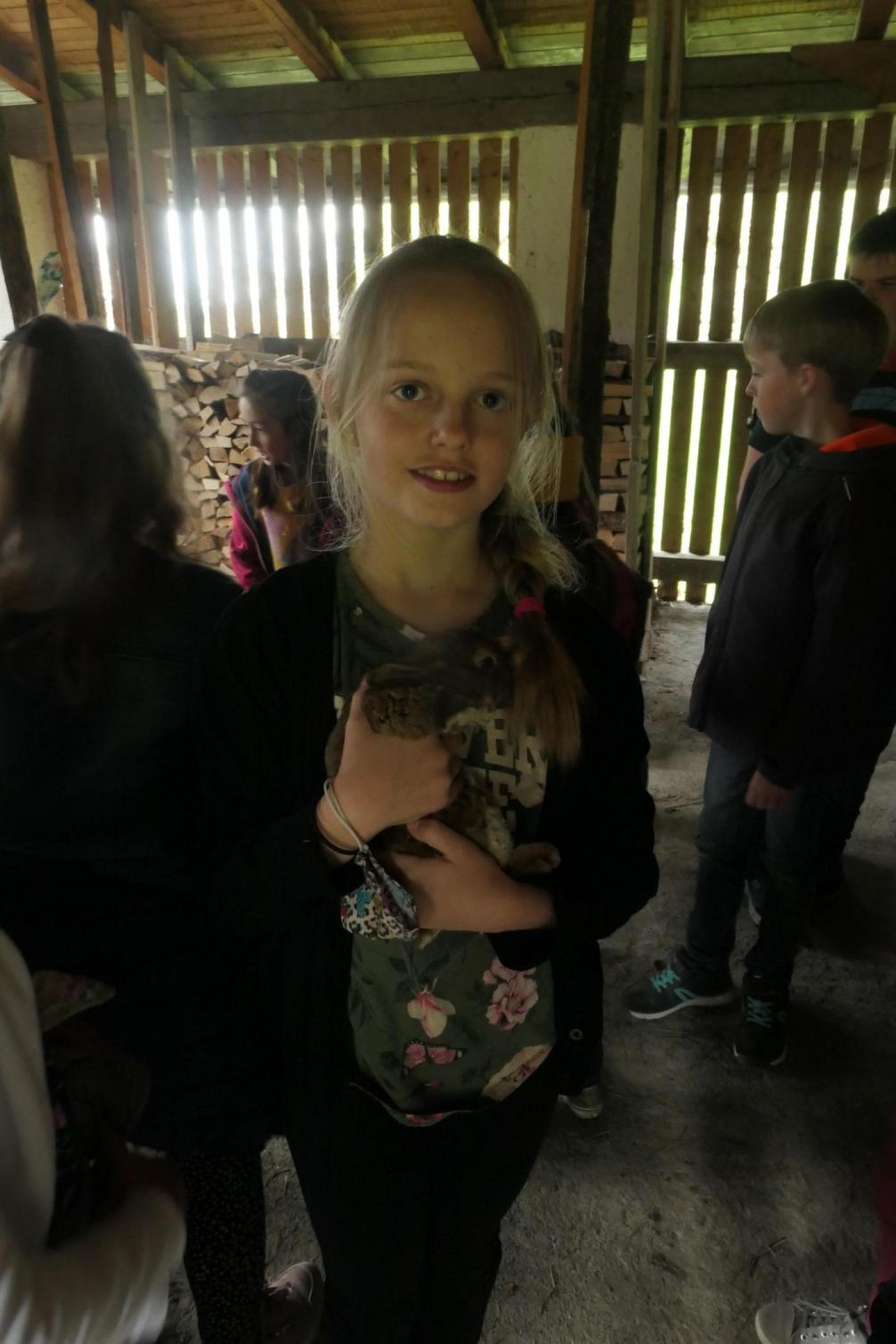 Beim Streicheln der niedlichen Hasen