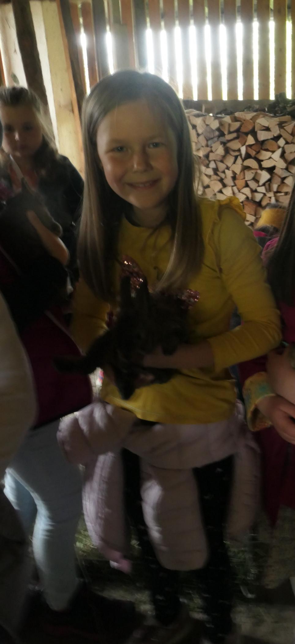 Beim Streicheln der niedlichen Hasen