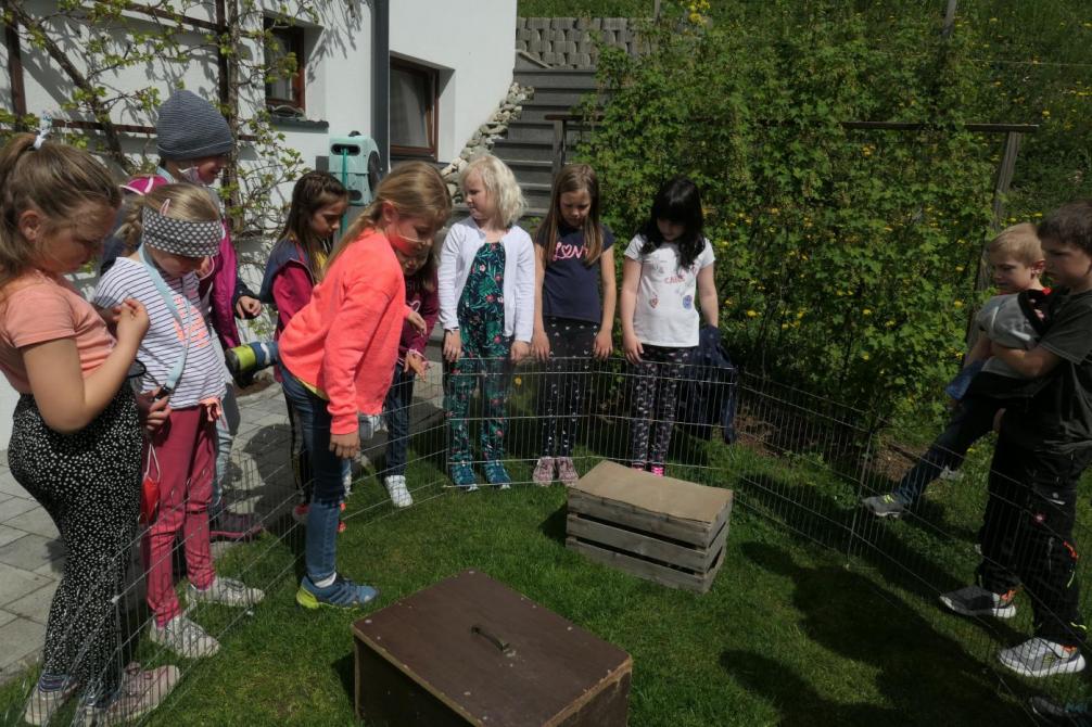 So ein großes Gehege!