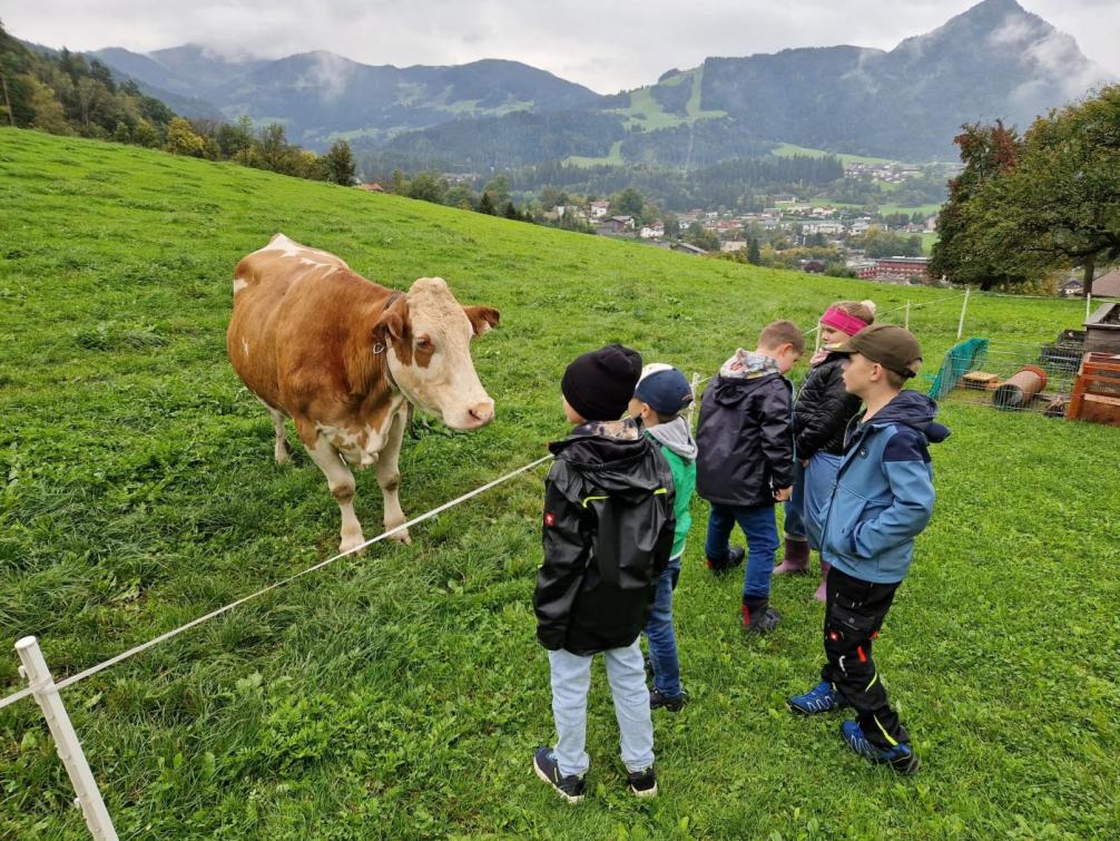 Besuch am Bauernhof